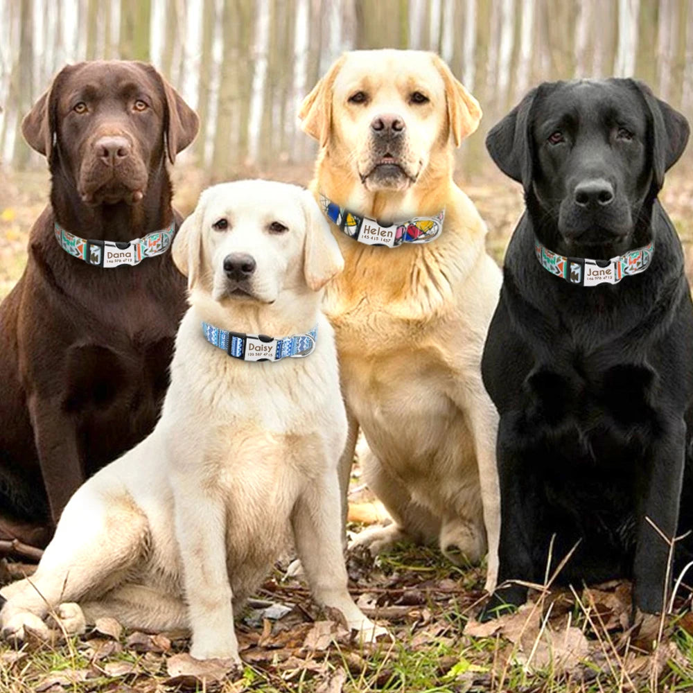 Collier réglable en Nylon pour chien, personnalisé, identification de chat, avec boucle avec nom gravé, Anti-perte, pour petits, moyens et grands chiens