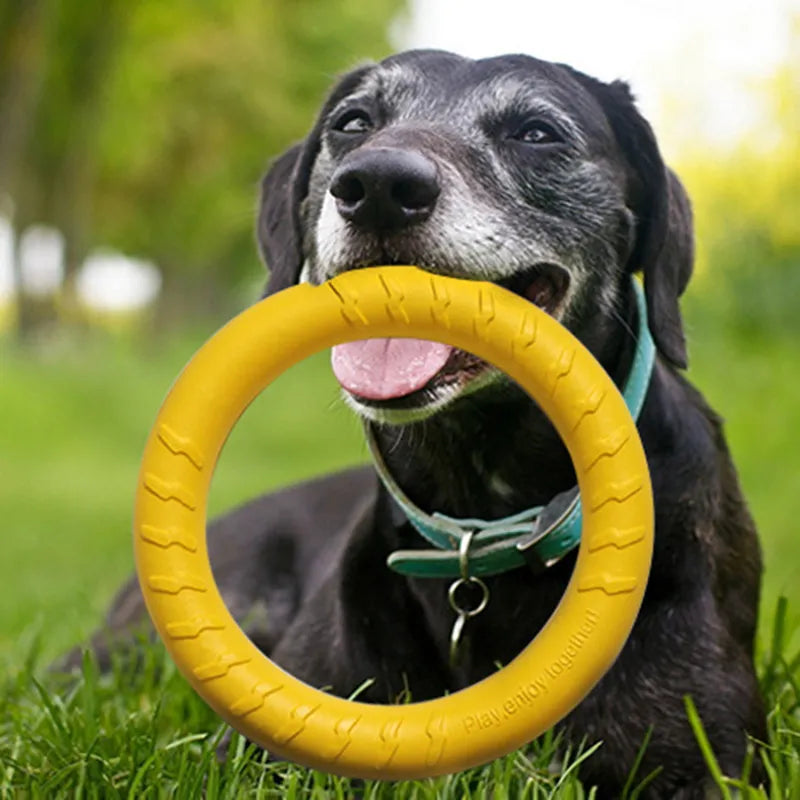 Discos voladores para mascotas, anillo de entrenamiento, extractor, juguetes para perros grandes, resistente a mordeduras, pelota para masticar, juguete flotante para cachorros, suministro interactivo