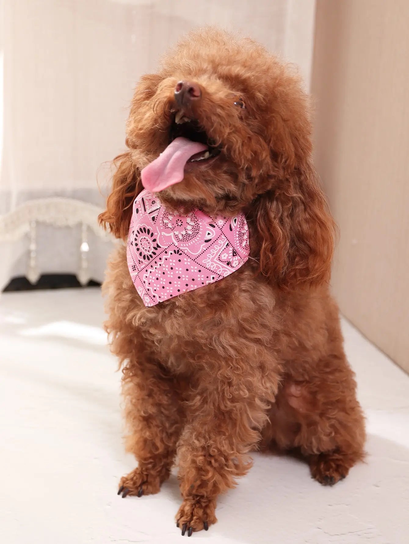 1pc Pink Color Random Pattern Pet Bandana With Adjustable Triangle Shape & Buckle Pet Dog Neck Scarf Puppy Cat Dog Collar Bibs