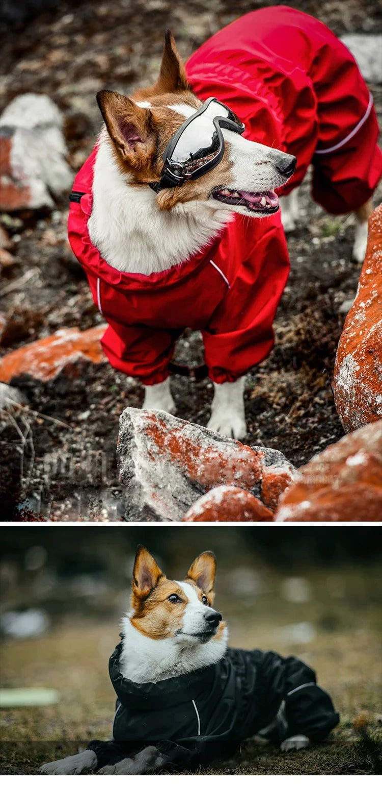 Abrigo para perros, chaqueta para exteriores, impermeable, ropa cálida de invierno, mono grande, impermeable reflectante para perros medianos y grandes