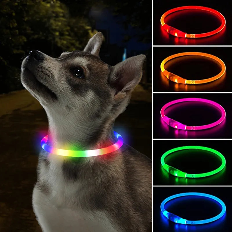 Collar Led para perro, Collar luminoso con Usb para perro y gato, luz Led de 3 modos, Collar LED brillante para prevención de pérdidas, accesorios para perros y mascotas