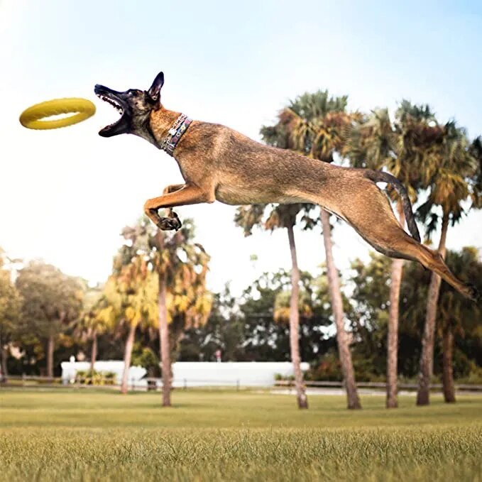 Discos voladores para mascotas, anillo de entrenamiento, extractor, juguetes para perros grandes, resistente a mordeduras, pelota para masticar, juguete flotante para cachorros, suministro interactivo