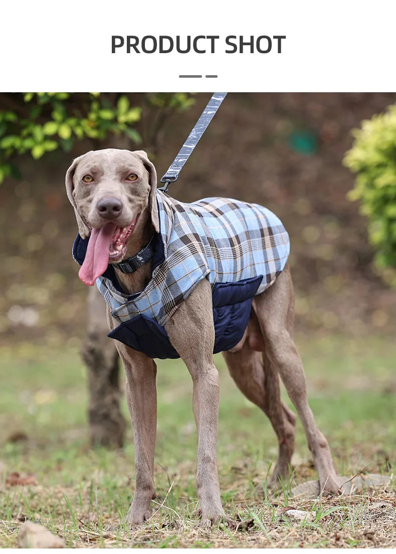 Veste imperméable pour chien, motif à carreaux, vêtements réversibles pour chiens de petite, moyenne et grande taille, manteau doux et chaud avec poitrine Flexible