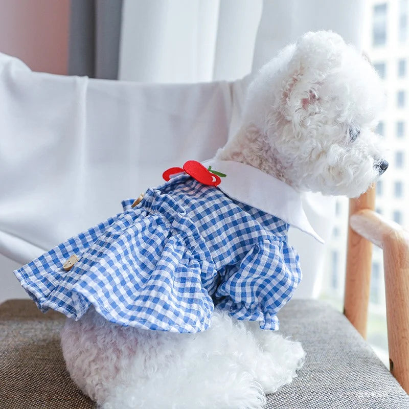 Ropa para mascotas, vestido de princesa con oso de manzana a cuadros azul, transpirable, fino, para primavera/verano, adecuado para perros pequeños y medianos, 1 ud.