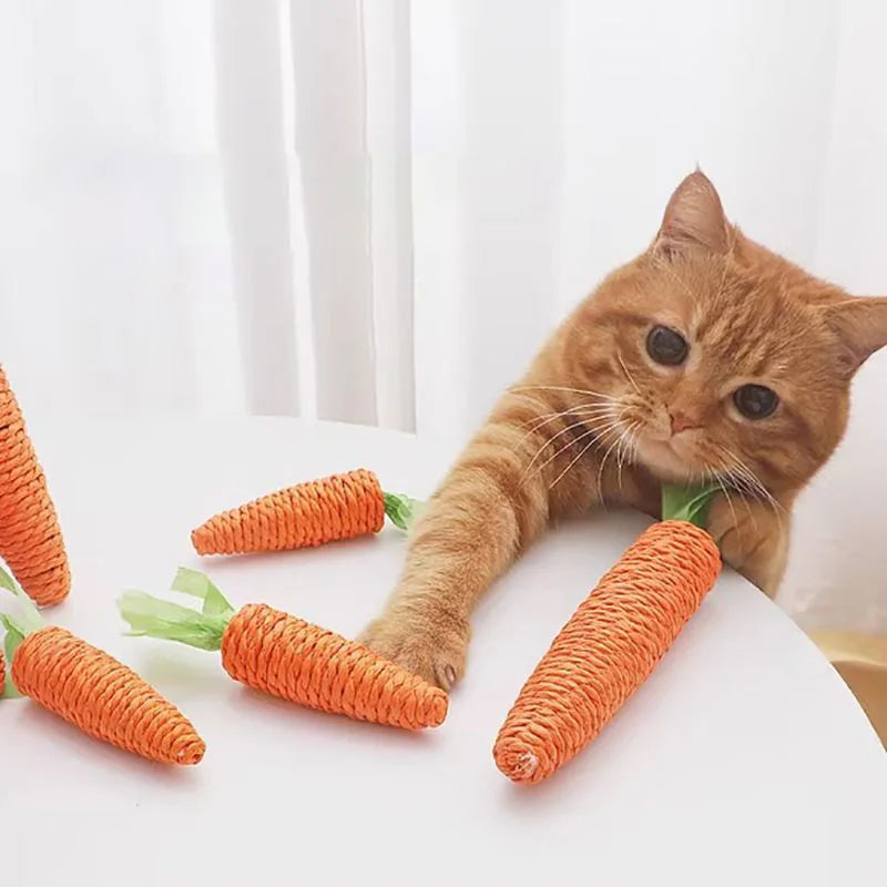 Bâton de dentition pour chat, jouets sonores, carotte, câlin, bâton de dentition amusant, anti-morsure, planche à gratter, fournitures pour animaux de compagnie