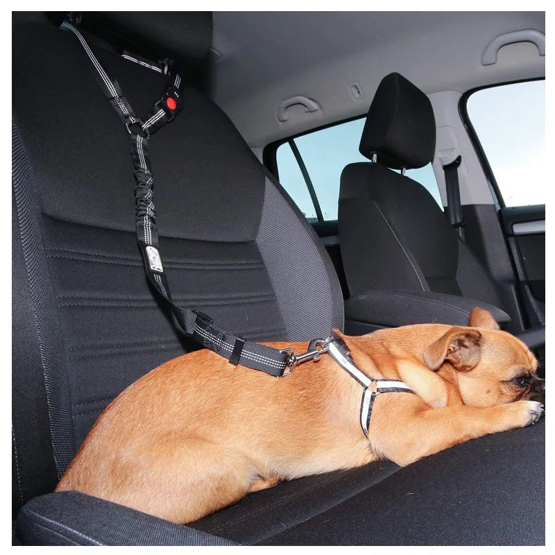 Ceinture de sécurité deux en un pour chien, ceinture de sécurité pour voiture et animal de compagnie, peut être ajustée pour les accessoires pour animaux de compagnie, collier pour chat et chien