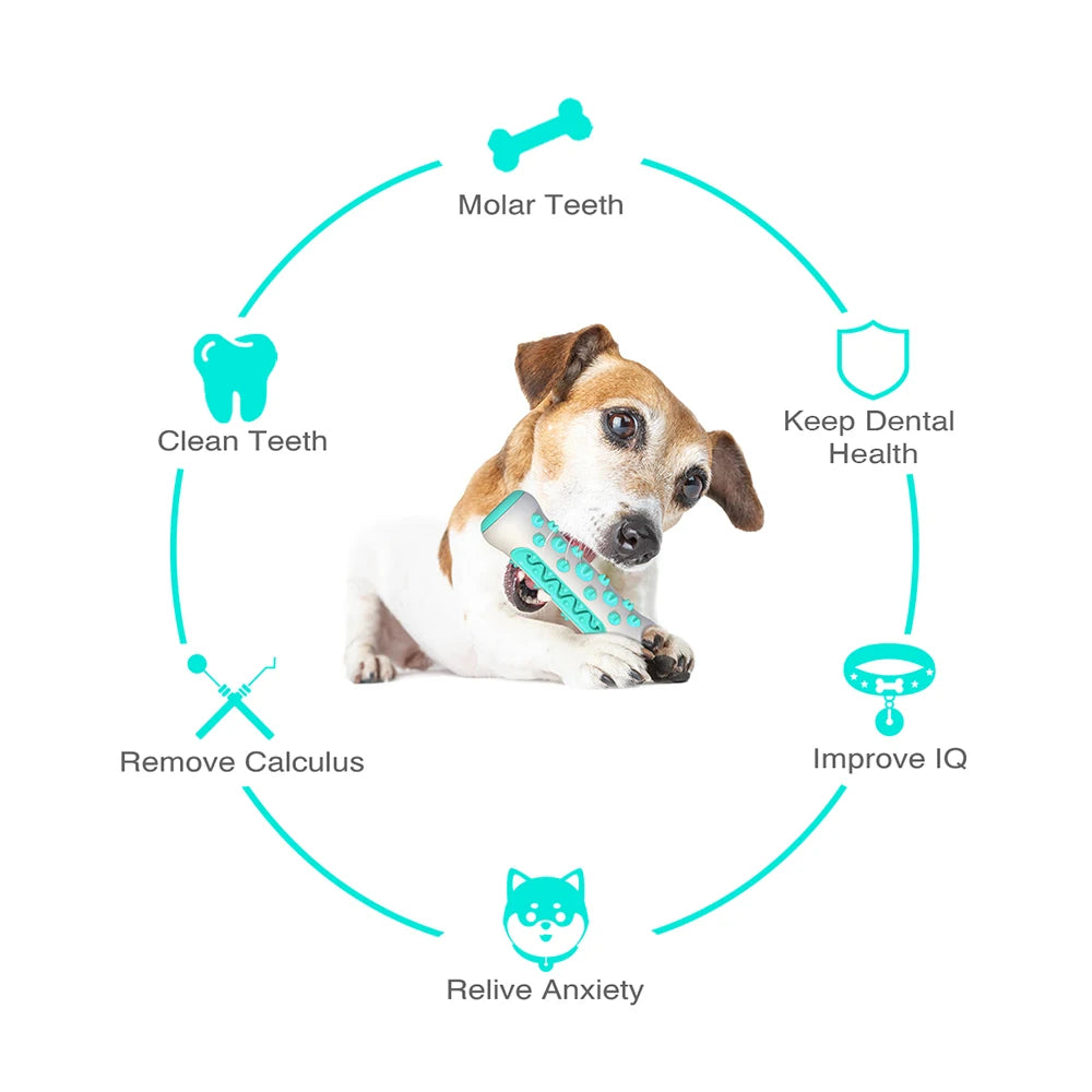 Cepillo de dientes Molar para perros, juguetes para perros pequeños y grandes, Limpieza de dientes para gatos, masticar para cachorros, divertido juguete de entrenamiento interactivo, accesorios