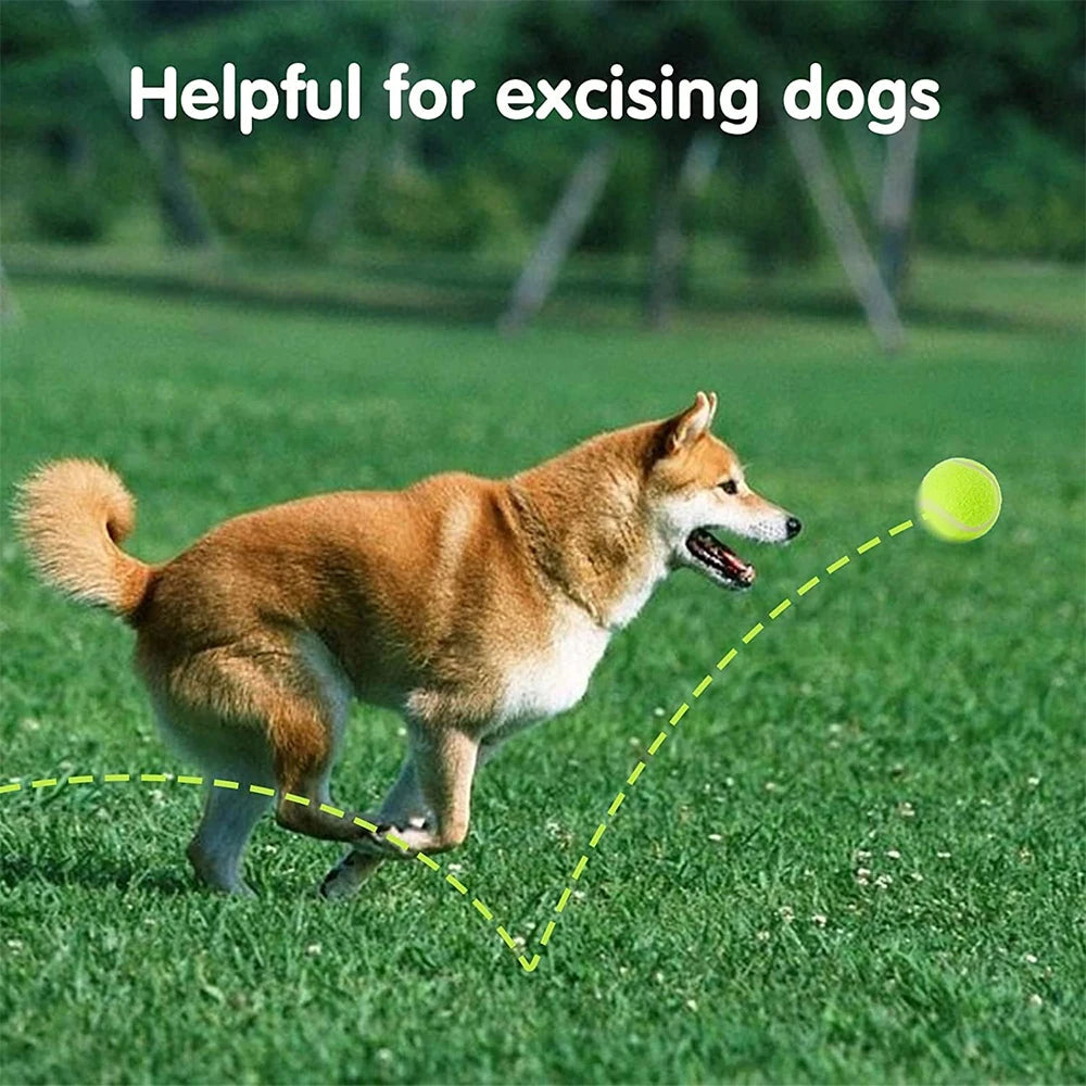 Lanzador de tenis de 6 uds., pelota especial de 5cm para perros, máquina de lanzamiento de tenis profesional elástica, juguete portátil, solo la pelota, sin máquina