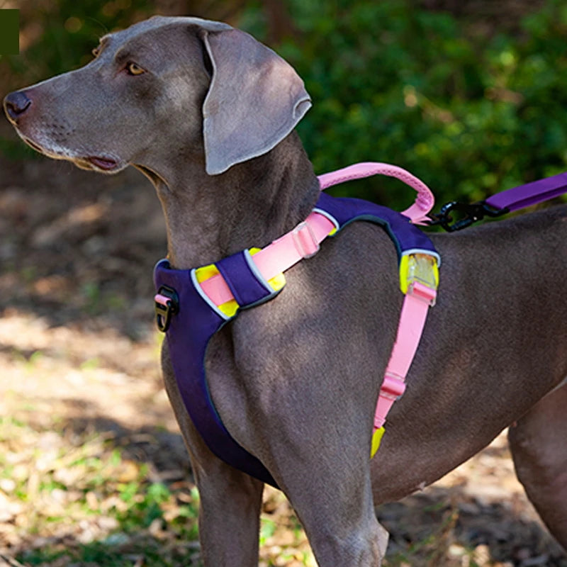 Productos para mascotas, accesorios para perros, arnés de nailon, ayuda para el comportamiento, Collar, correa para el pecho, correa acolchada para exteriores, chaleco pequeño y grande