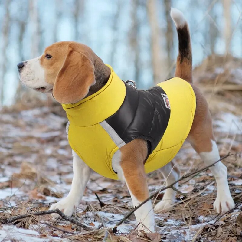 Ropa cálida de invierno para perros de compañía, chaleco para mascotas, chaqueta con cremallera, abrigos impermeables para perros pequeños, medianos y grandes, Bulldog Francés, Labrador