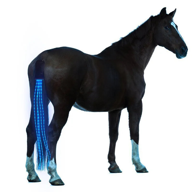 Luces LED recargables de 100CM con cola de caballo, decoración USB, tubos luminosos, arnés de caballo, deporte ecuestre al aire libre, Ridin intermitente