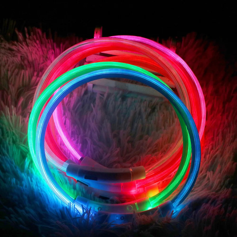 Collier Led lumineux pour chien et chat, Usb, 3 Modes, lumière Led brillante, prévention des pertes, collier LED pour chiens, accessoires pour animaux de compagnie