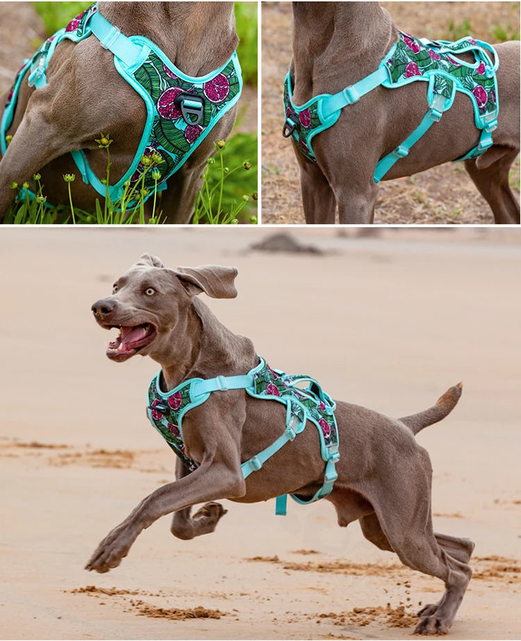 Arnés para perros, artículos para perros, chaleco de entrenamiento para caminar al aire libre, accesorios para perros, chaleco con arnés para mascota reflectante transpirable, suministros para mascotas