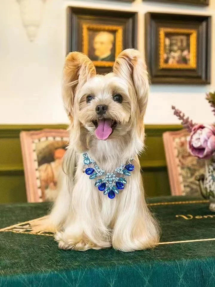 Collar de lujo para mascotas, cadena ajustable, collar de perro con diamantes de imitación grandes para perros pequeños, collar de gato con diamantes de moda, accesorios para mascotas femeninas, estilo