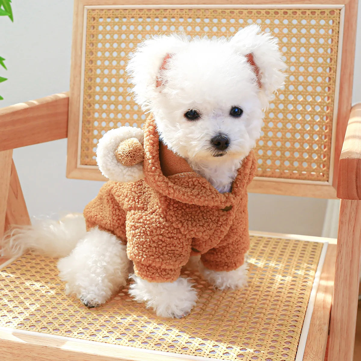 1PC Pet Apparel Cat Autumn Winter Plush Thickened Warm Little Bear Head Coat Hoodie With Drawstring Buckle For Small Medium Dogs