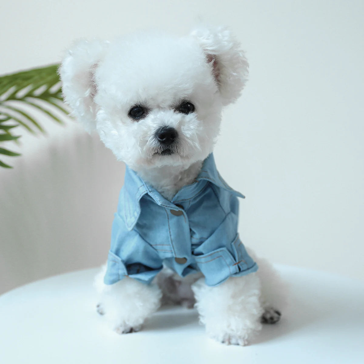 1PC Pet Apparel Dog Spring and Autumn Blue Denim Handsome Casual Shirt Coat With Drawstring Buckle For Small Medium Dogs