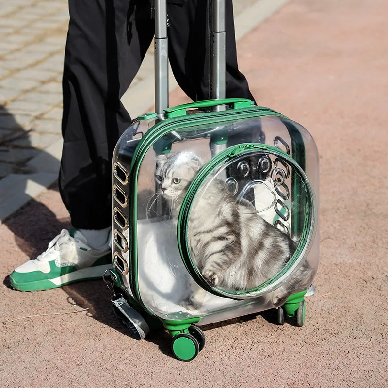 Valise à roulettes pour chien et chat, valise transparente, sac à dos respirant pour animal de compagnie, poussette