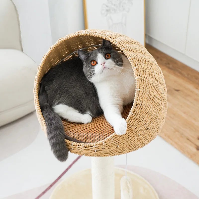 Árbol de escalada para rascar gatos, casa tejida de mimbre, trinquete de molienda para mascotas, poste rascador de Sisal, marco rascador para gatos, cama tipo nido, Juguetes