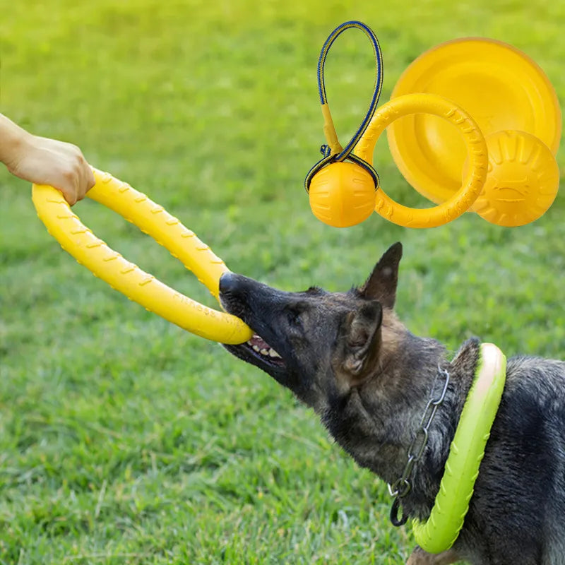 Discos voladores para mascotas, anillo de entrenamiento, extractor, juguetes para perros grandes, resistente a mordeduras, pelota para masticar, juguete flotante para cachorros, suministro interactivo