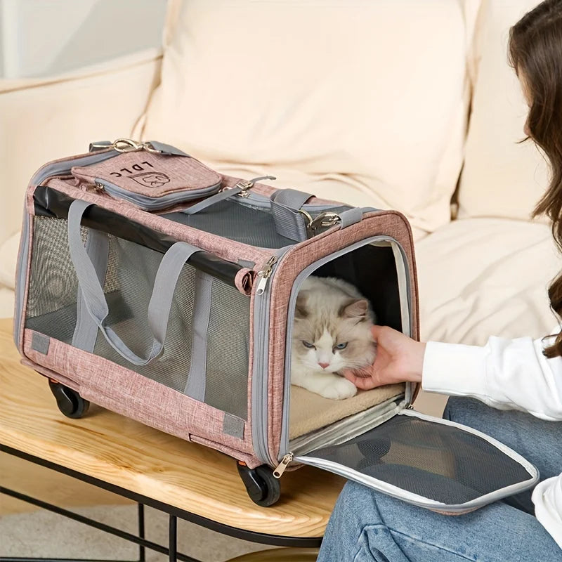 Transportín para gatos aprobado por las aerolíneas: desmontable, con ruedas para perros y gatos