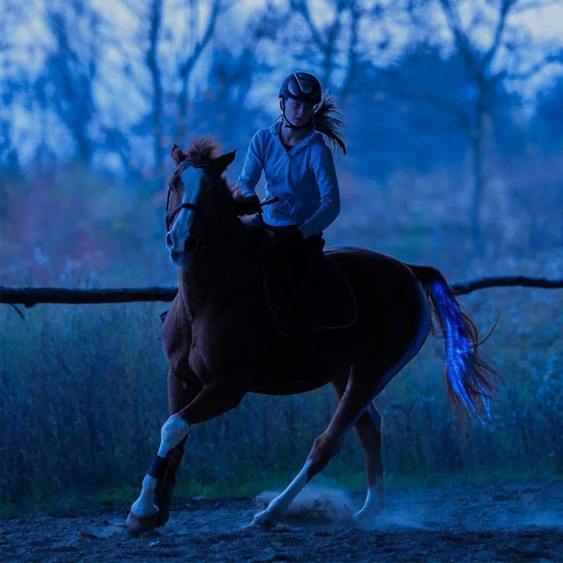 Queue de cheval LED rechargeable de 100CM, lumières USB, Tubes lumineux de décoration, harnais de cheval, Sport équestre de plein air, clignotant