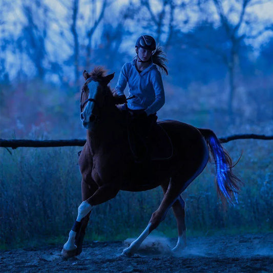 Luces LED recargables de 100CM con cola de caballo, decoración USB, tubos luminosos, arnés de caballo, deporte ecuestre al aire libre, Ridin intermitente