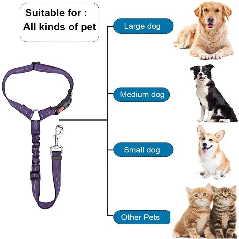 Cinturón de seguridad para perros dos en uno, cinturón de seguridad para coche para mascotas, se puede ajustar para accesorios para mascotas, Collar para perros y gatos, Collar para perros y gatos