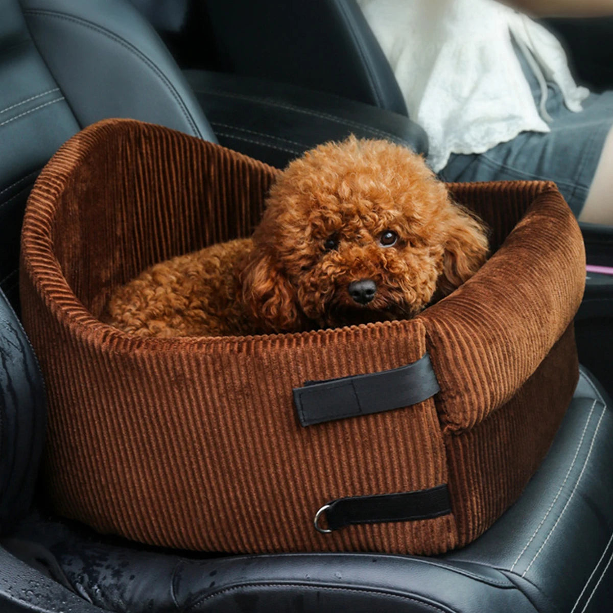 Dog Beds for Small Dogs Can Be Used the Car Small Cats Bedding Buckle Version Cushions Pet Pets Products Bed Puppy