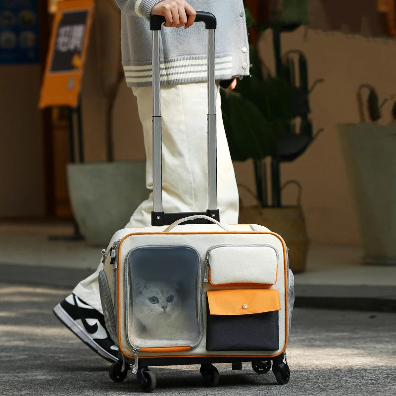 Chat chien transporteur avec roues universelles muettes chariot sac à dos pour animaux de compagnie grand espace Portable extérieur animaux sacs chats et chien transporteur