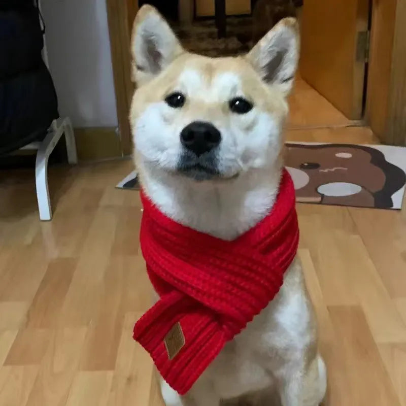 Écharpe tricotée chaude d'hiver pour petits et moyens chiens, écharpe de cou pour chat, carlin/Corgi/collier de noël, toilettage, Style à la mode