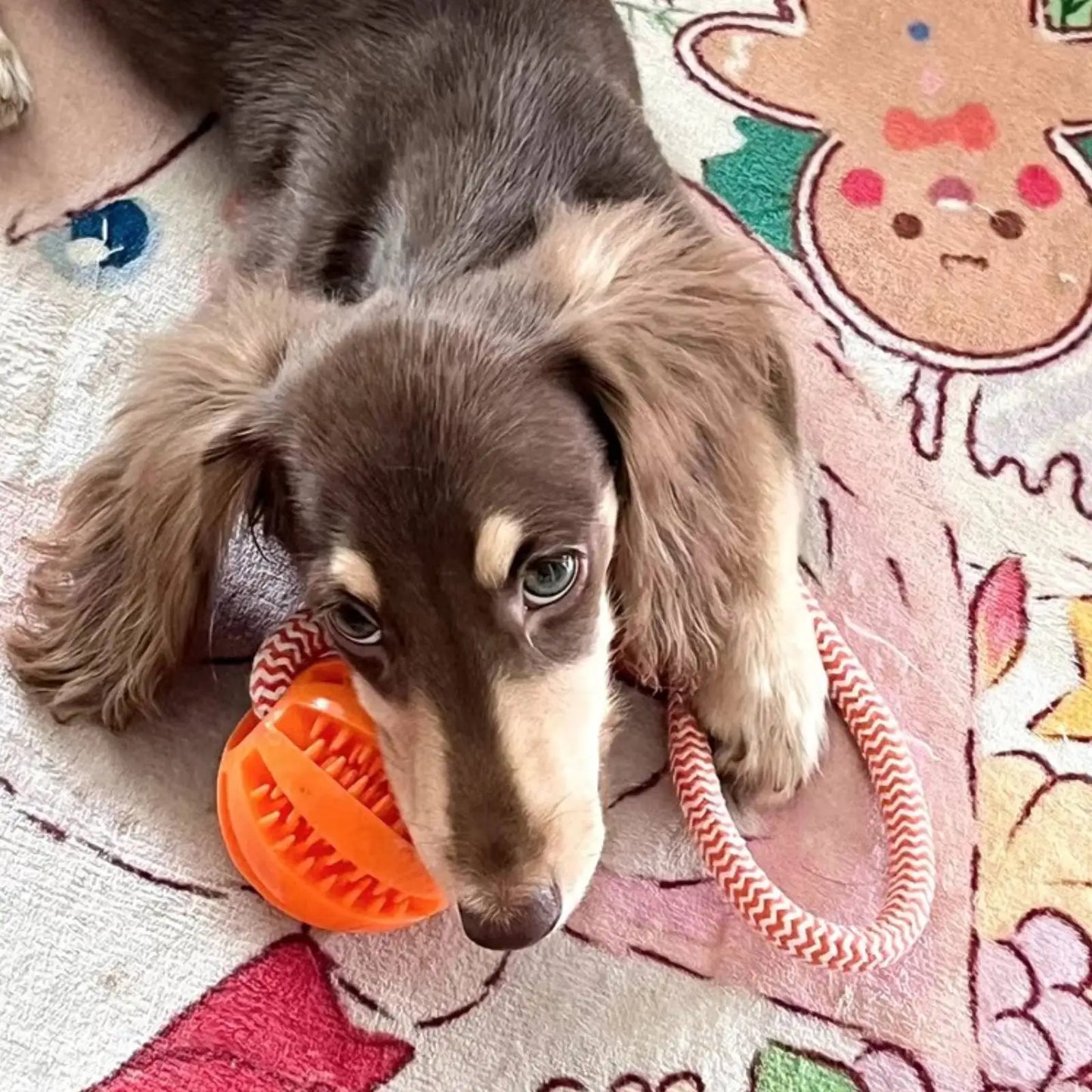 Pelotas de juguete para perros, cuerda interactiva para tratar, bolas de goma con fugas para perros pequeños y medianos, resistente a mordeduras, Limpieza de dientes para mascotas