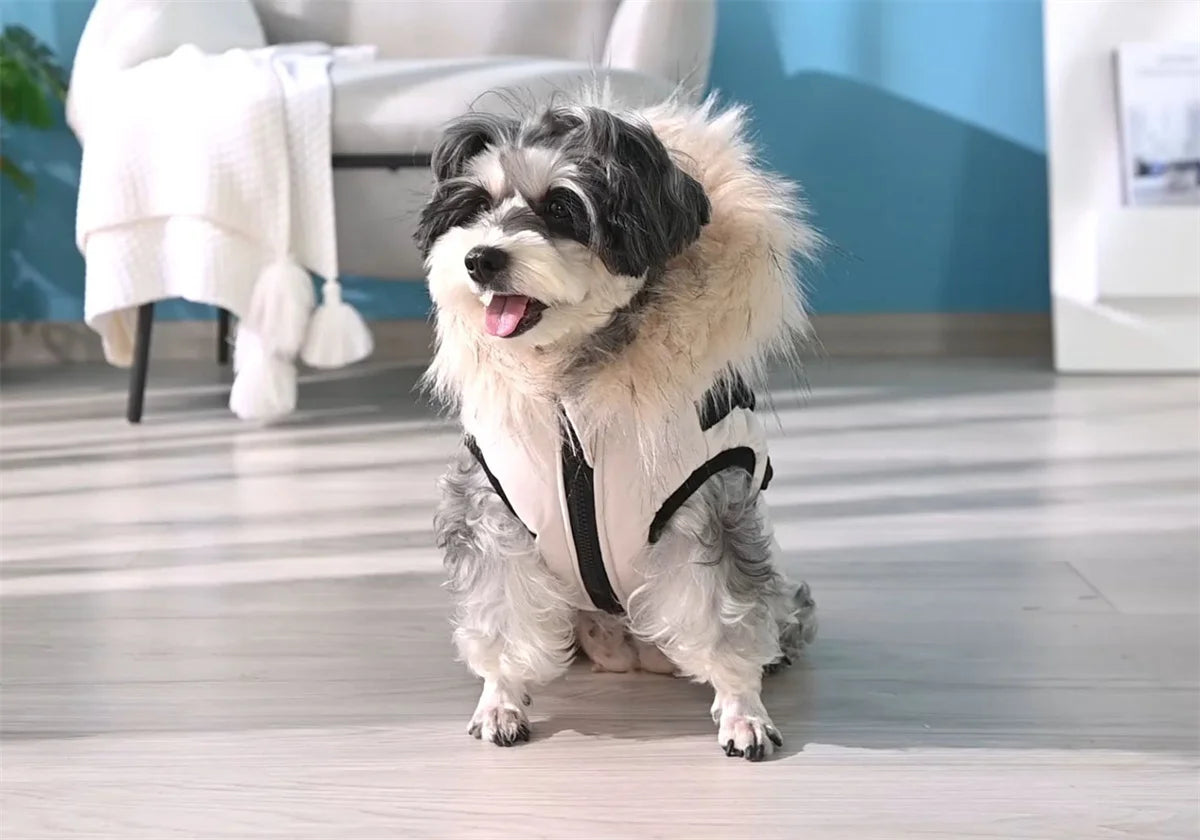 Ropa de invierno para perros, abrigo Parka con Cuello de piel de lujo para perros pequeños, chaqueta cálida acolchada impermeable para mascotas con arnés con cremallera