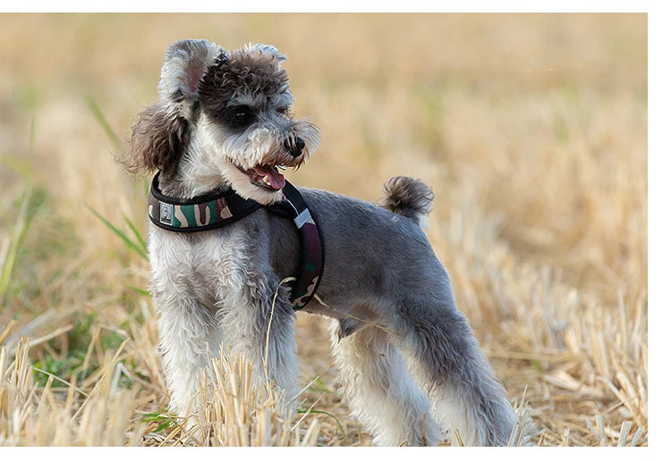 Portabebés para perros pequeños, hebilla en D de aluminio, gancho para caminar y bucle, accesorios portátiles para ponerse y quitarse