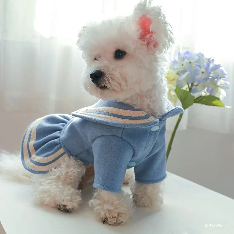 1PC vêtements pour animaux de compagnie chat chien automne et hiver épaissi chaud bleu or étiquette robe de princesse adapté aux chiens de petite et moyenne taille