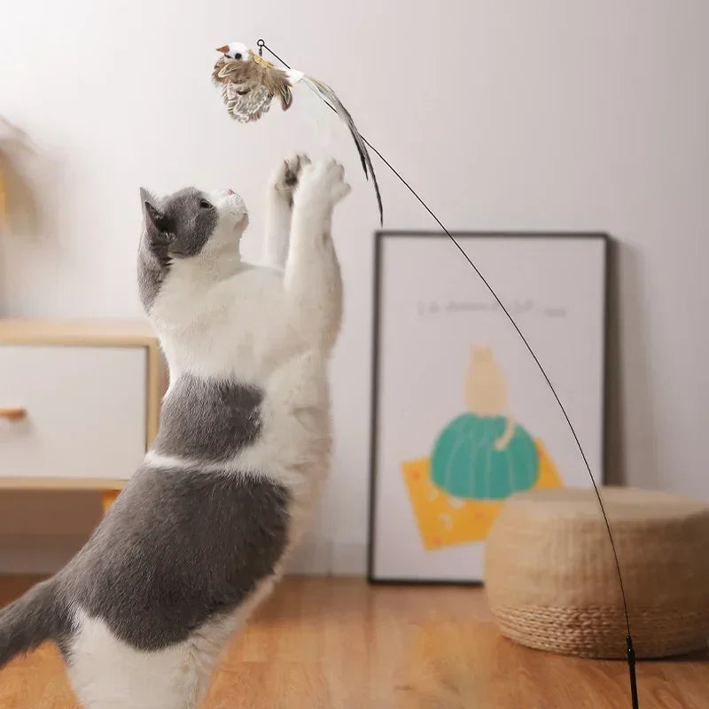 Jouet interactif de Simulation d'oiseau pour chat, plume amusante avec cloche, bâton de chat, jouet pour chaton, baguette Teaser, jouet, fournitures pour chats