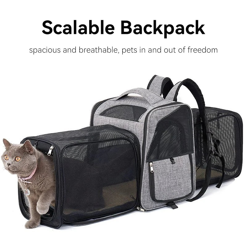 Cat Carrying Bags Breathable Pet Outgoing Travel Backpack Expandable Puppy Kitten Carriers Foldable Cats Large Capacity Bag