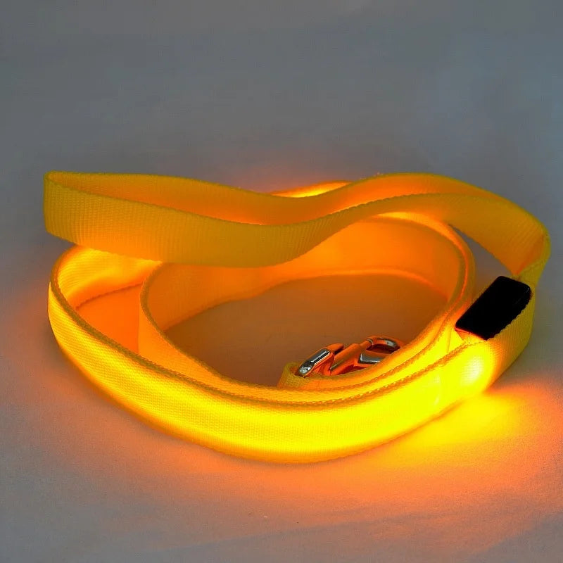 Correa luminosa para perro con luz LED, correa de plomo para seguridad de perro, Collar brillante intermitente, arnés, accesorios electrónicos para mascotas