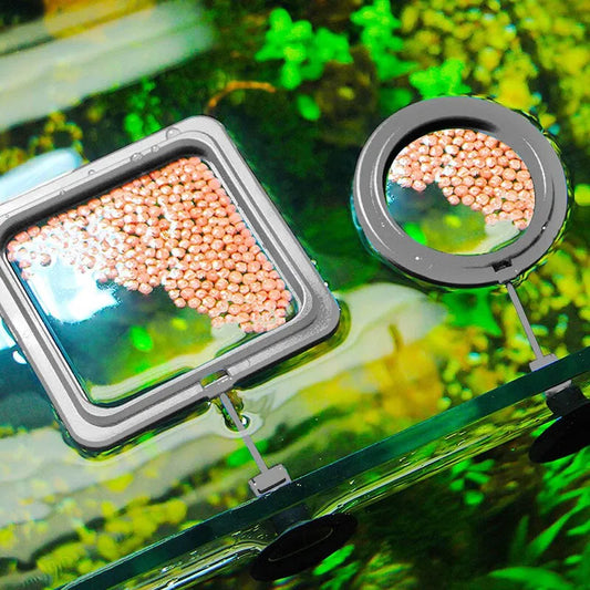 Aquarium Feeding Ring Fish Tank Station Floating Food Tray Feeder Square Circle Accessory Fish Food Feeder Suction Cup Black