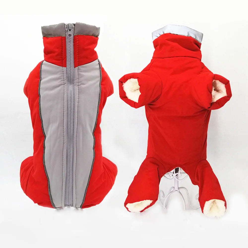 Ropa de invierno para perros, chaqueta muy cálidas, abrigo de algodón más grueso, ropa impermeable para perros pequeños, ropa para mascotas para cachorros de Bulldog Francés 5,0