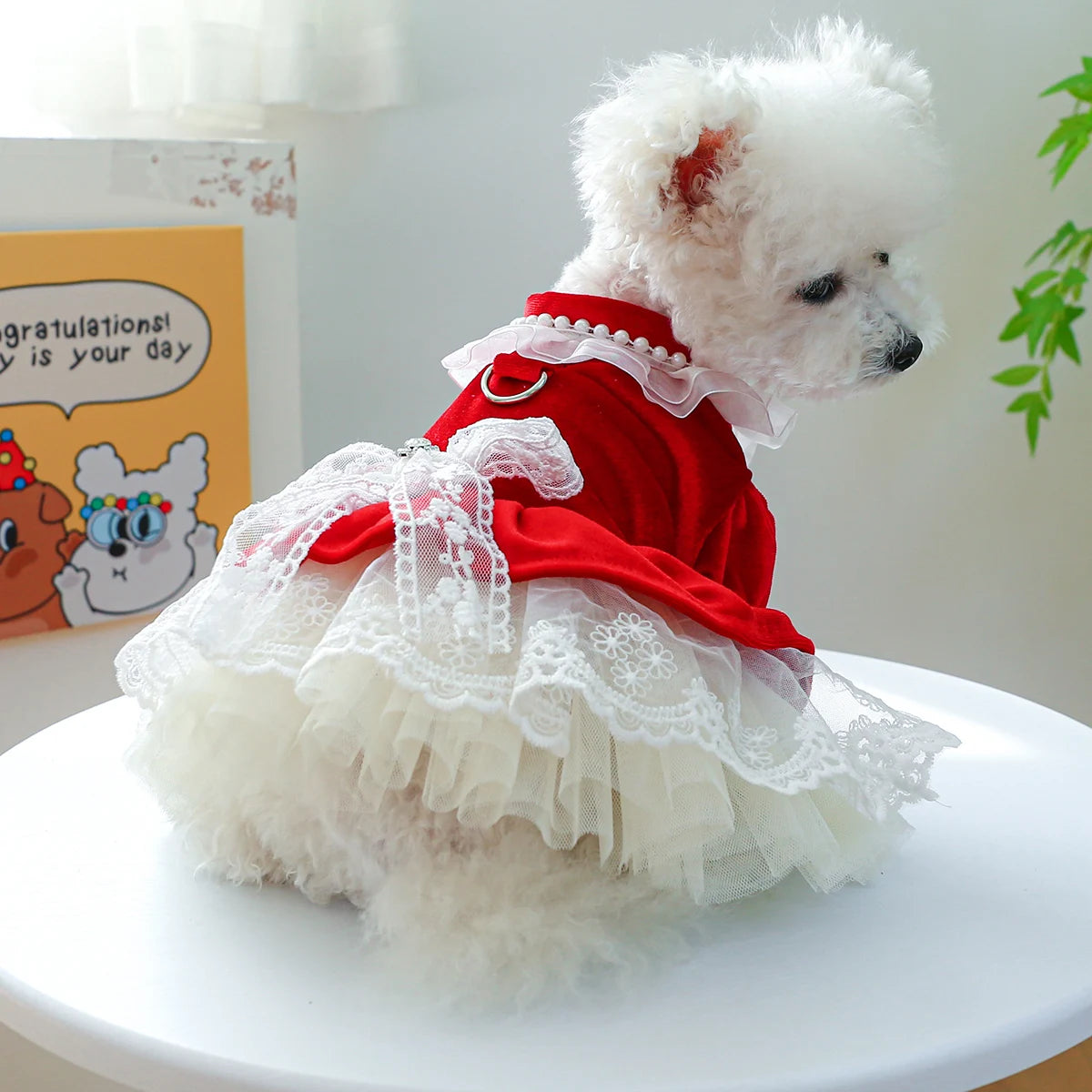 1PC Pet Apparel Dog Spring and Autumn Velvet Wedding Dress Red Princess Dress with Drawstring Buckle For Small Medium Dogs