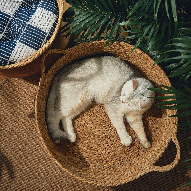 Tapis de quenouilles tout-en-un avec litière pour chat en rotin