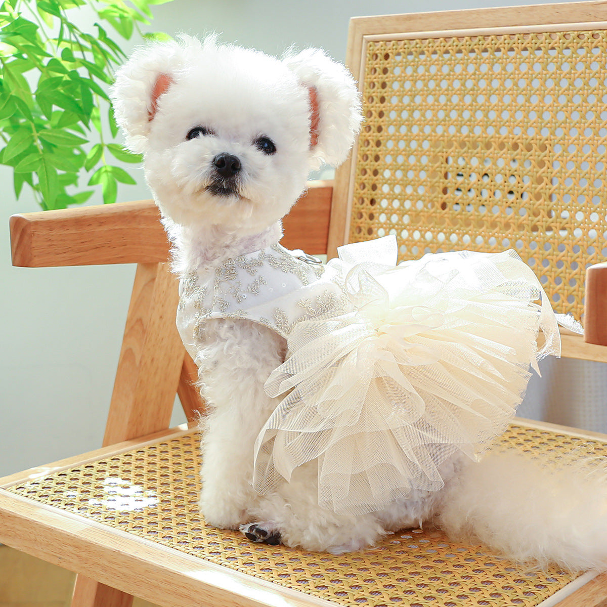 Vestido de novia fino para perros y gatos de primavera y verano