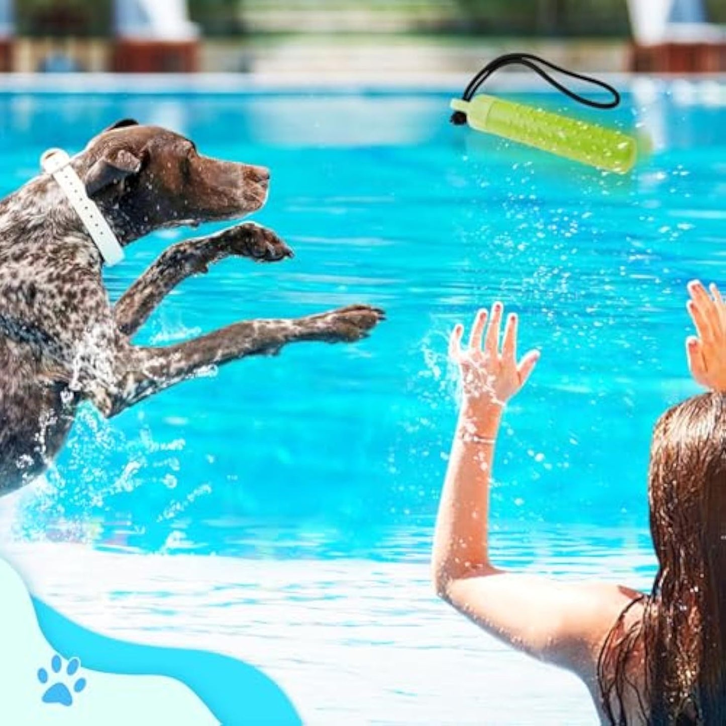 Floating Dog Pool Toys - Interactive Fetching Dog Water Toys For Hiding Food, Lightweight TPR Bumper Toys With Rope For Summer Outdoor Dogs Training Playing