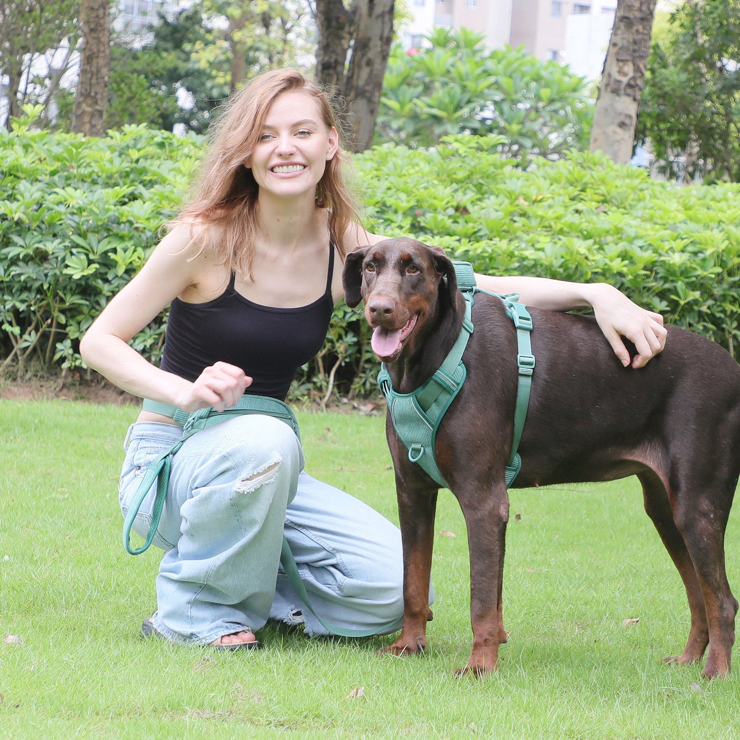 Sac à dos pour chien, poitrine et dos, costume, sac de marche pour chien