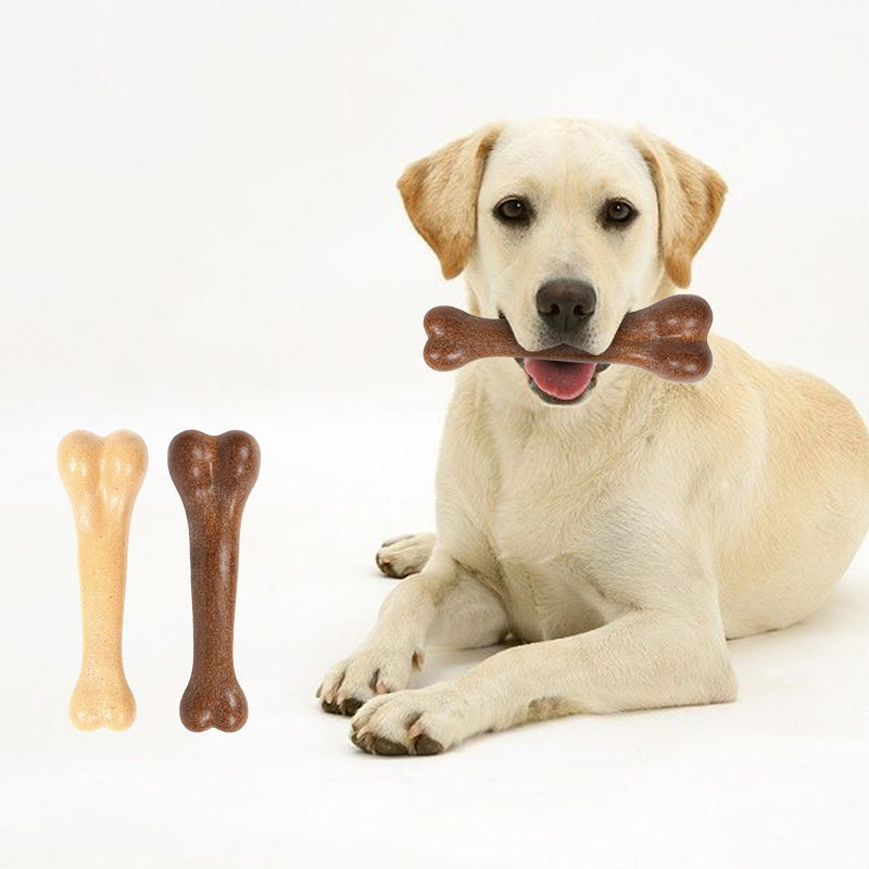 Jouet pour animaux de compagnie, simulation d'os de chien, bâton molaire, résistant aux morsures, nettoyeur de dents 