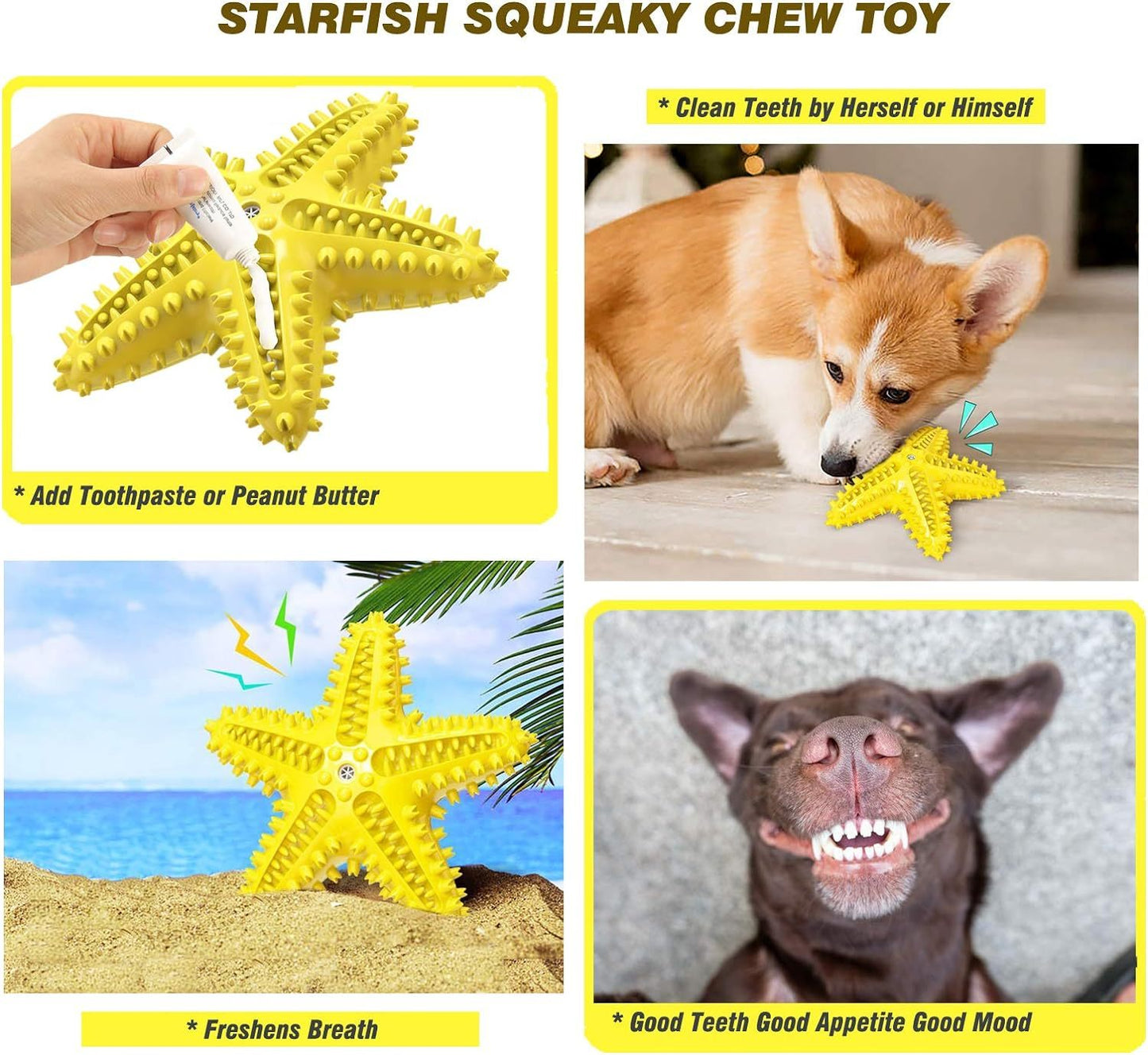 Sounding Starfish  The Natural Toothbrush For Small And Medium Dogs Starfish Natural Tooth Brush Teeth Cleaning