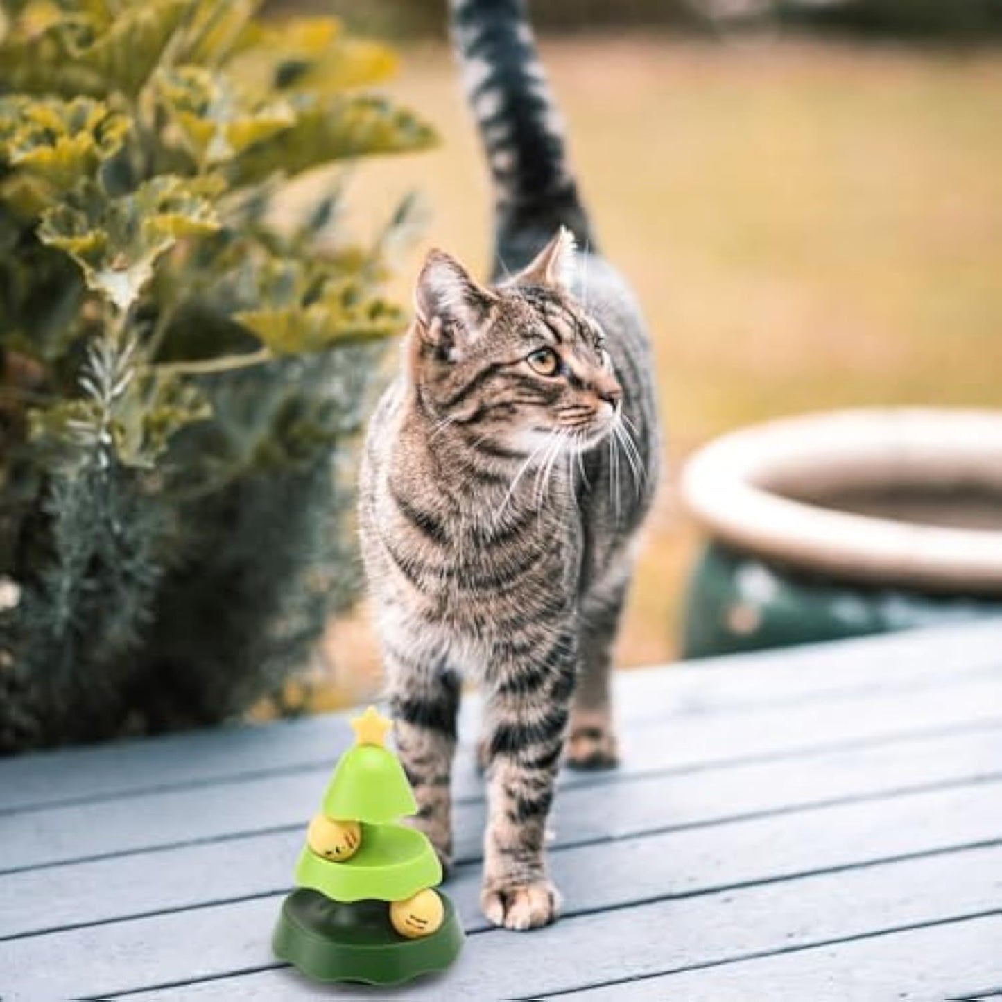 Pista de juguete con bolas de hierba gatera, juguetes para gatos, pista con ruedas, juguetes 2 en 1 con hierba gatera para gatos, con bolas de pista, rompecabezas interactivo para ejercicios mentales y físicos para gatitos, juguetes para gatitos