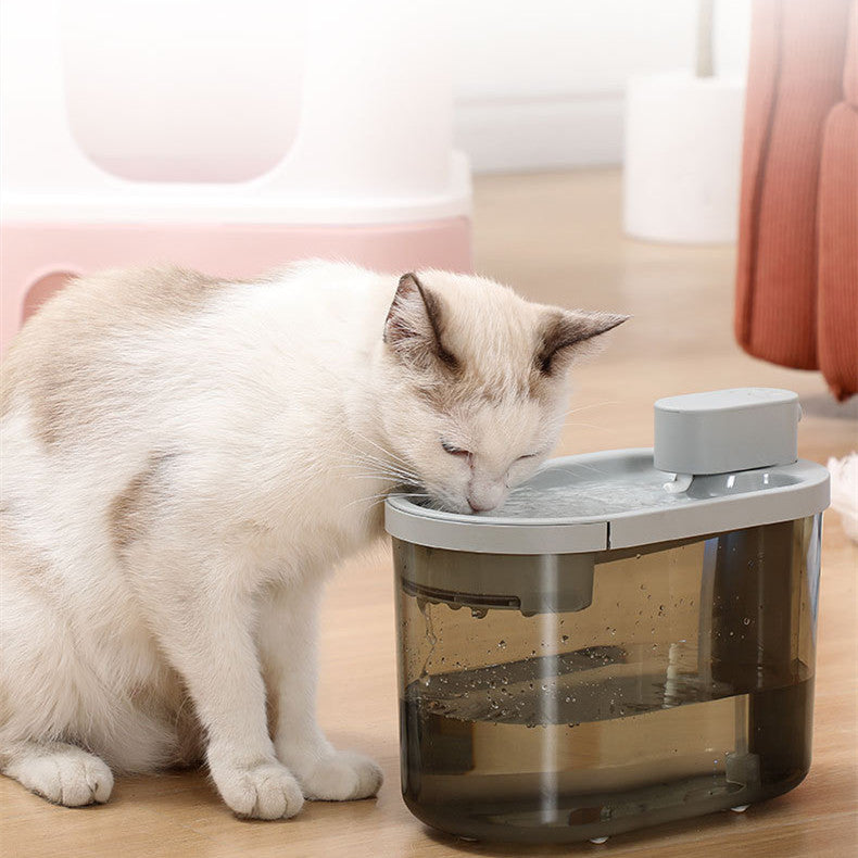 Abreuvoir automatique pour chats et animaux de compagnie