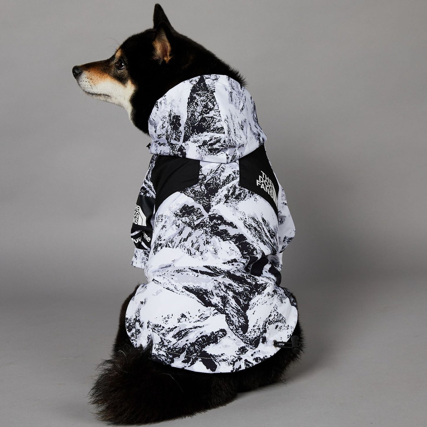 Veste imperméable coupe-vent et imperméable pour grands chiens