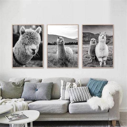 Black And White Animal Poster Camel Canvas Print Modern Mural Art Living Room Home Decor